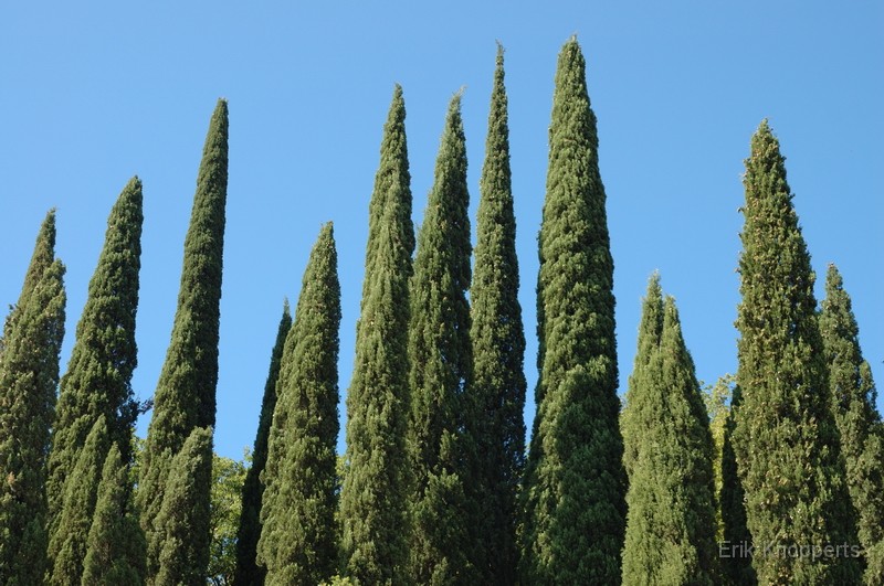 Montecatini 15 - Podere Fonte migliari.jpg